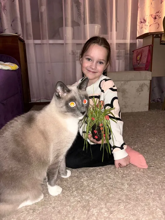 vovsCuYWfQ8ohwdSiLDgSivd2-O0_TaciX414aLel4kP8rQg1Npn-4TaFx_TCluAuOUZQ7MT0hCSgM5fchtqlpQf