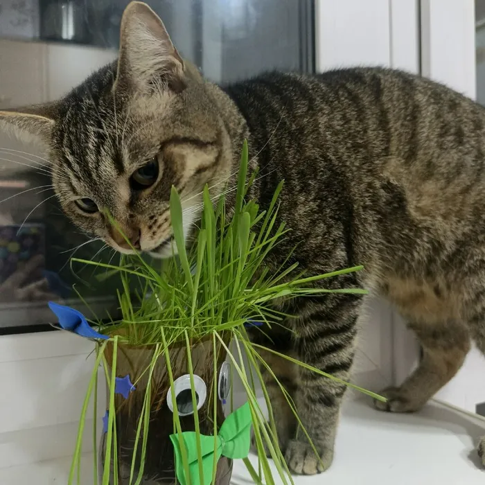 0iBnQkcMhtmOoRNQOxVWyRTxZ2Eq5XgrOvdrwRInZ6BPHHQbyQkx-5_nmA_4D9Lu9HQd3zJpNcQvfon5kRvoaMQZ