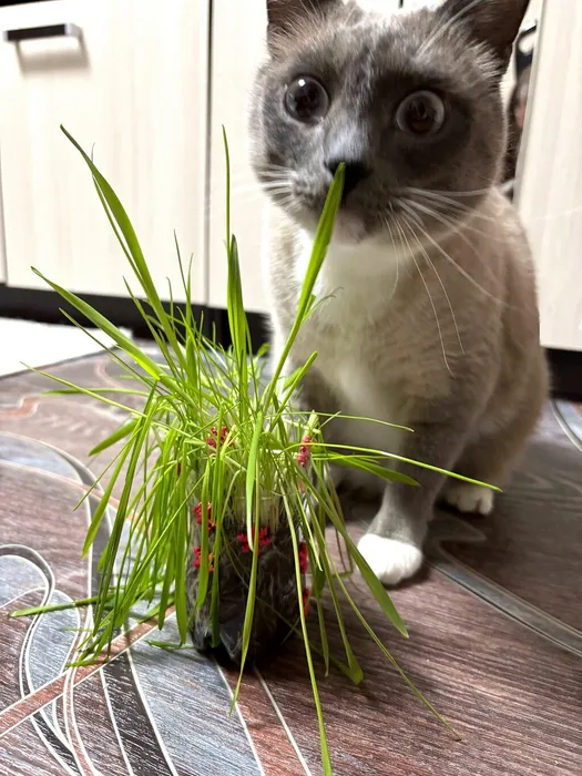 lST_5GW3WL0i22ukF93Zkbs_4ZWoaVgvKFY_zjK-oFdo9Lay0duNjzcu3RbB7d3_n6sD1TPQu7R3BAWFceyLXtqf